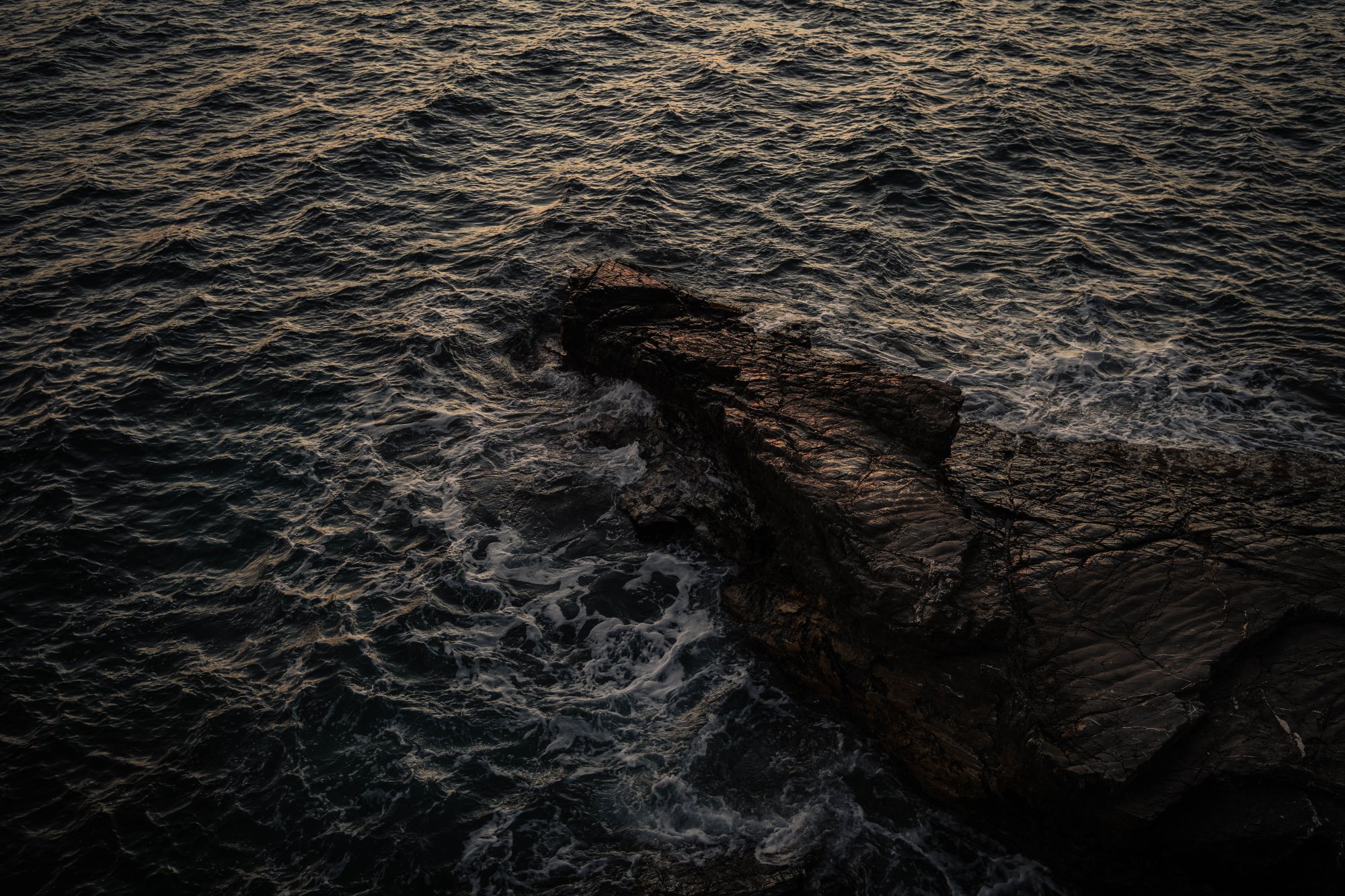 Ligurian rocky coast at dusk — Alessandro Guarino on Unsplash